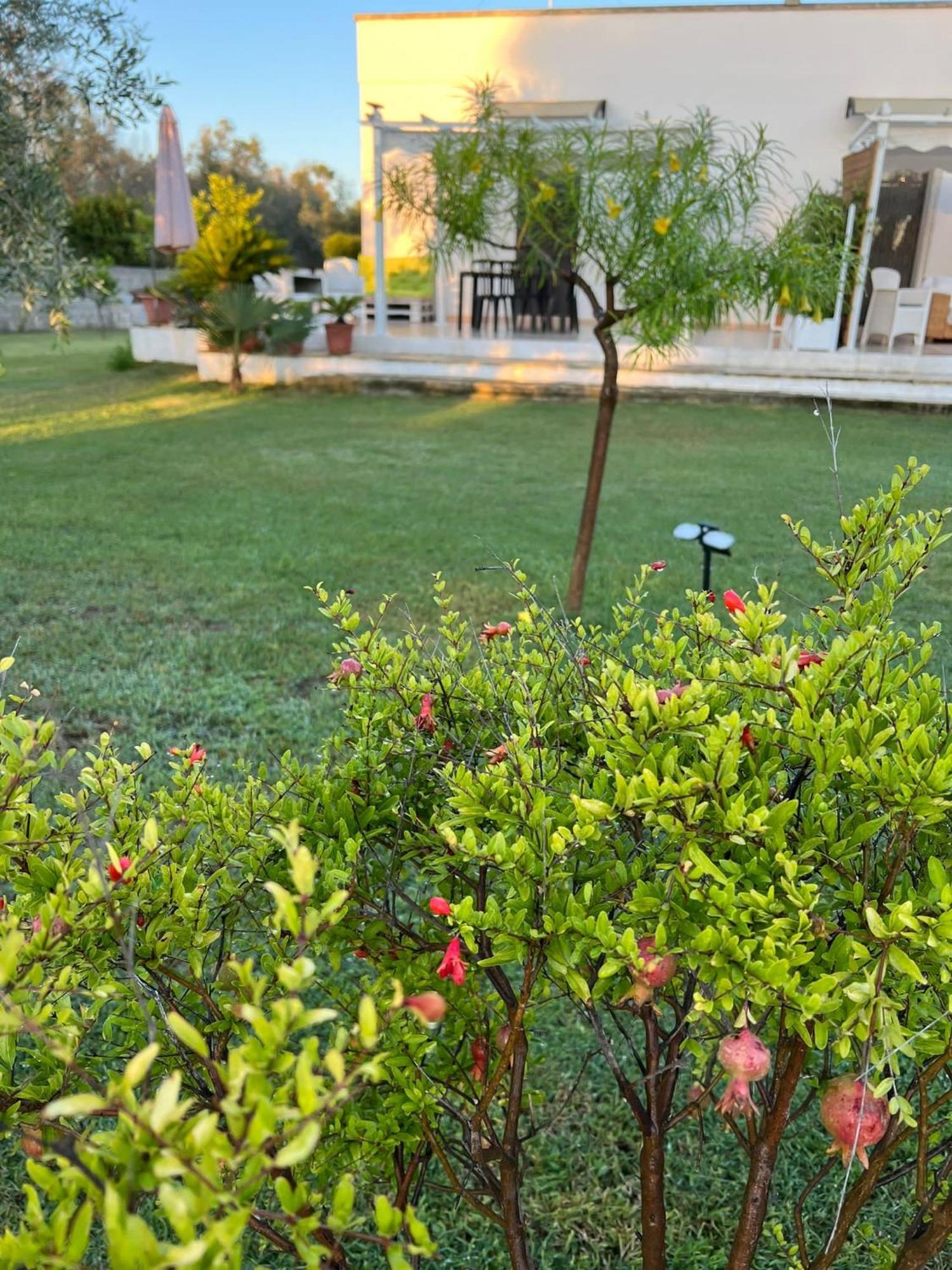 Salento Villa Don Peppino San Foca Exterior foto